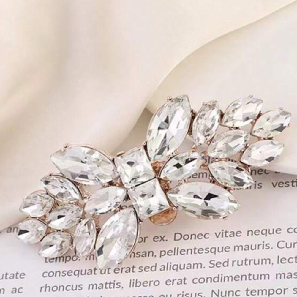 Crystal Shoe Clips - Picture 2 of 4